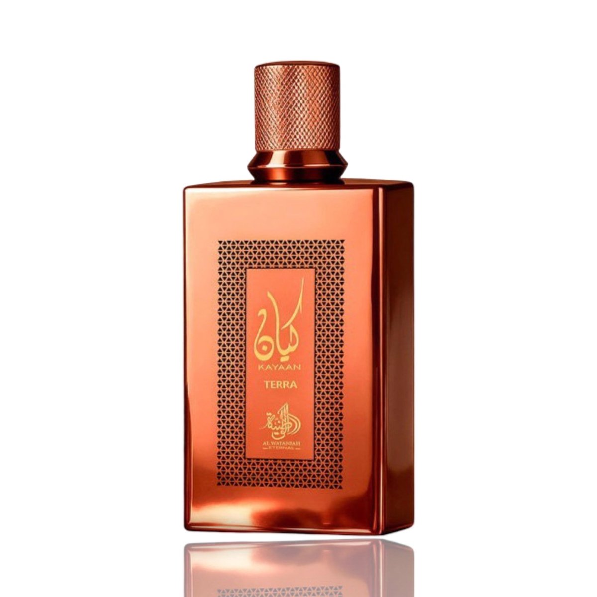 Kayaan Terra Eau De Parfum 100ml by Al Wataniah - Ezone Distribution