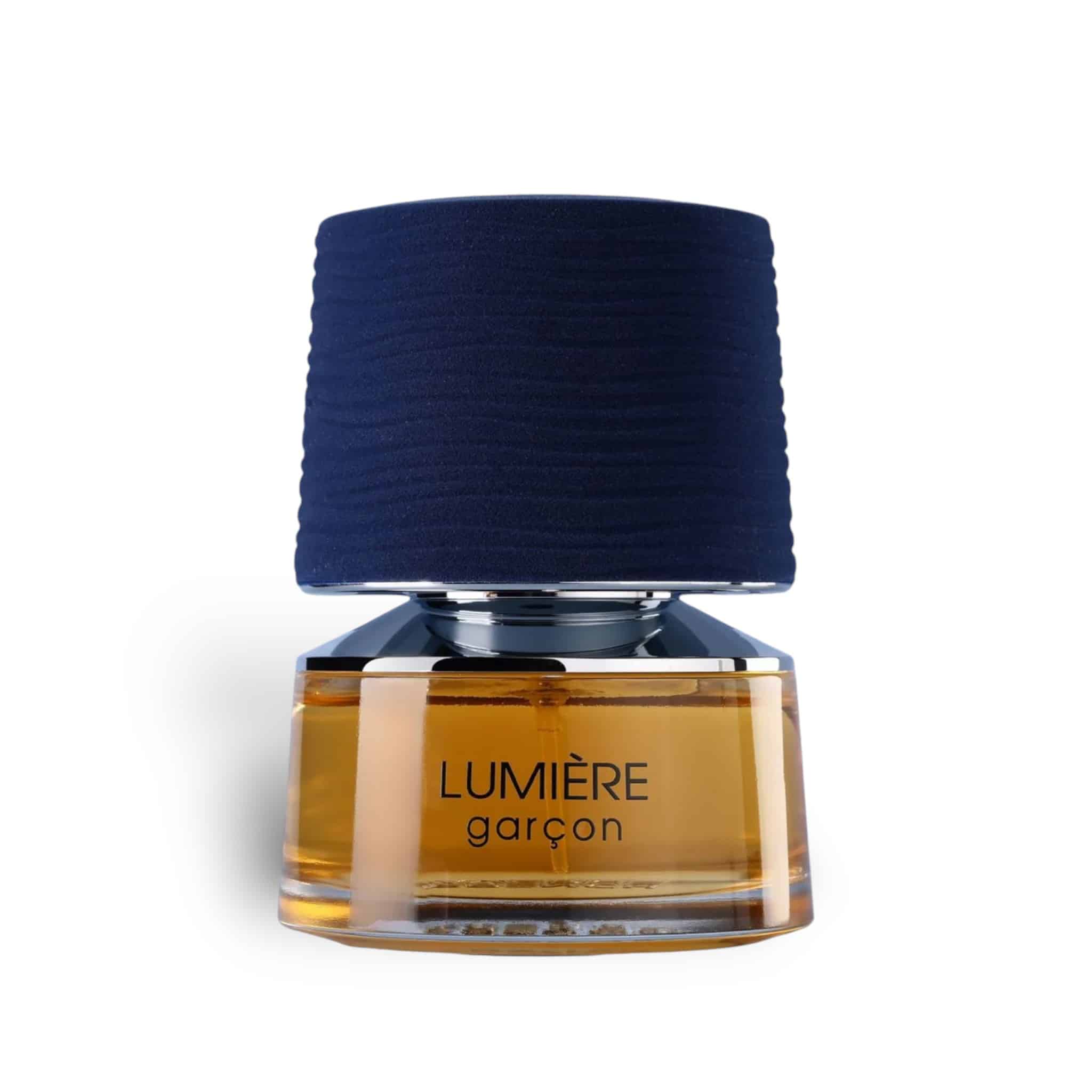 Lumiere Garcon 100ml EDP by French Avenue - Ezone Distribution