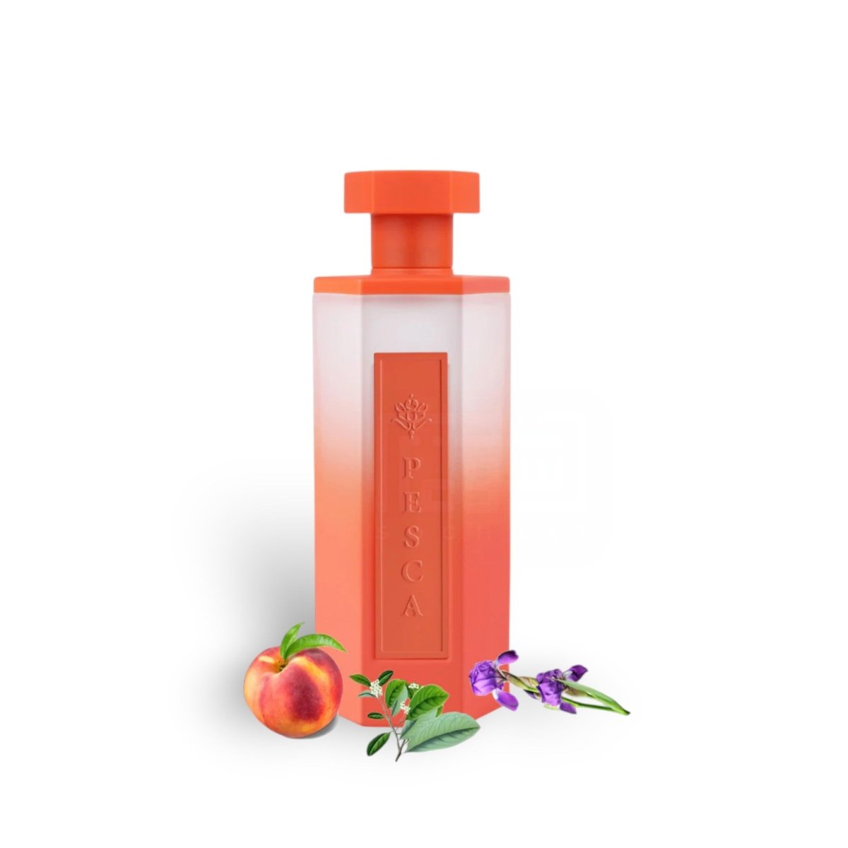 REEF Pesca EDP 200ml Perfume By Reef - Ezone Distribution